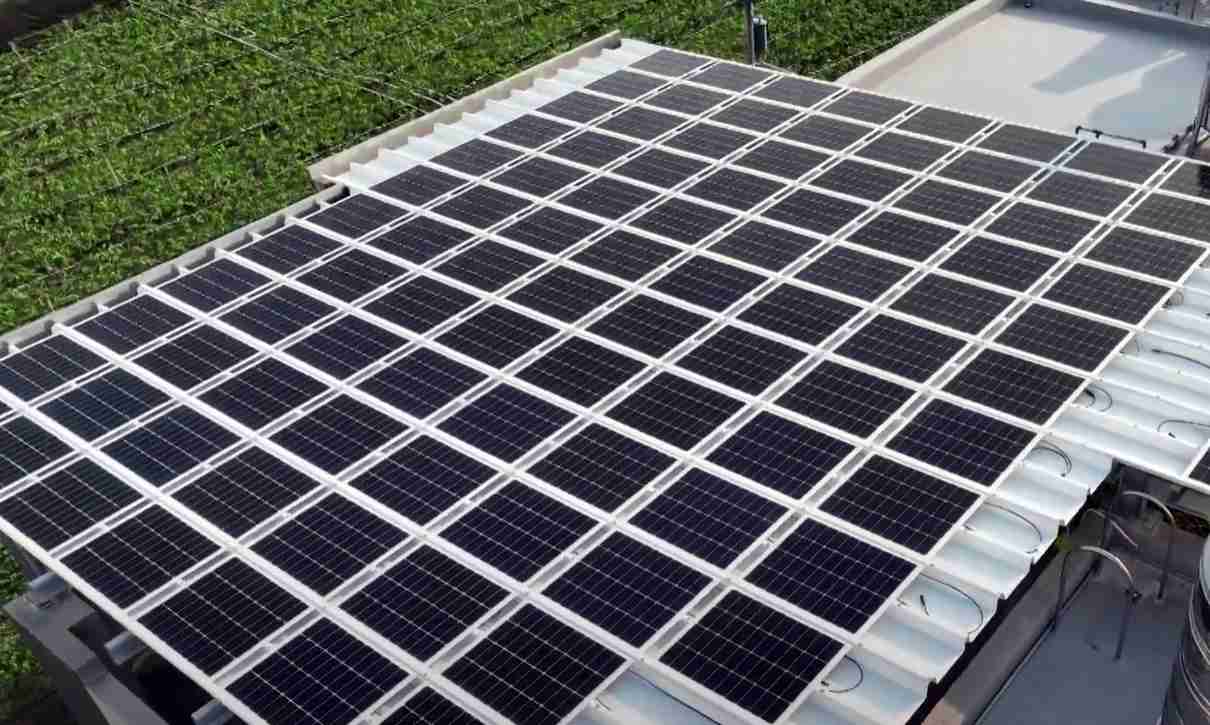 口袋牛店SunSteel光电浪板升级双玻结构，，以提升机械负载强度及气候耐候度，，，，可广泛运用于多元场域