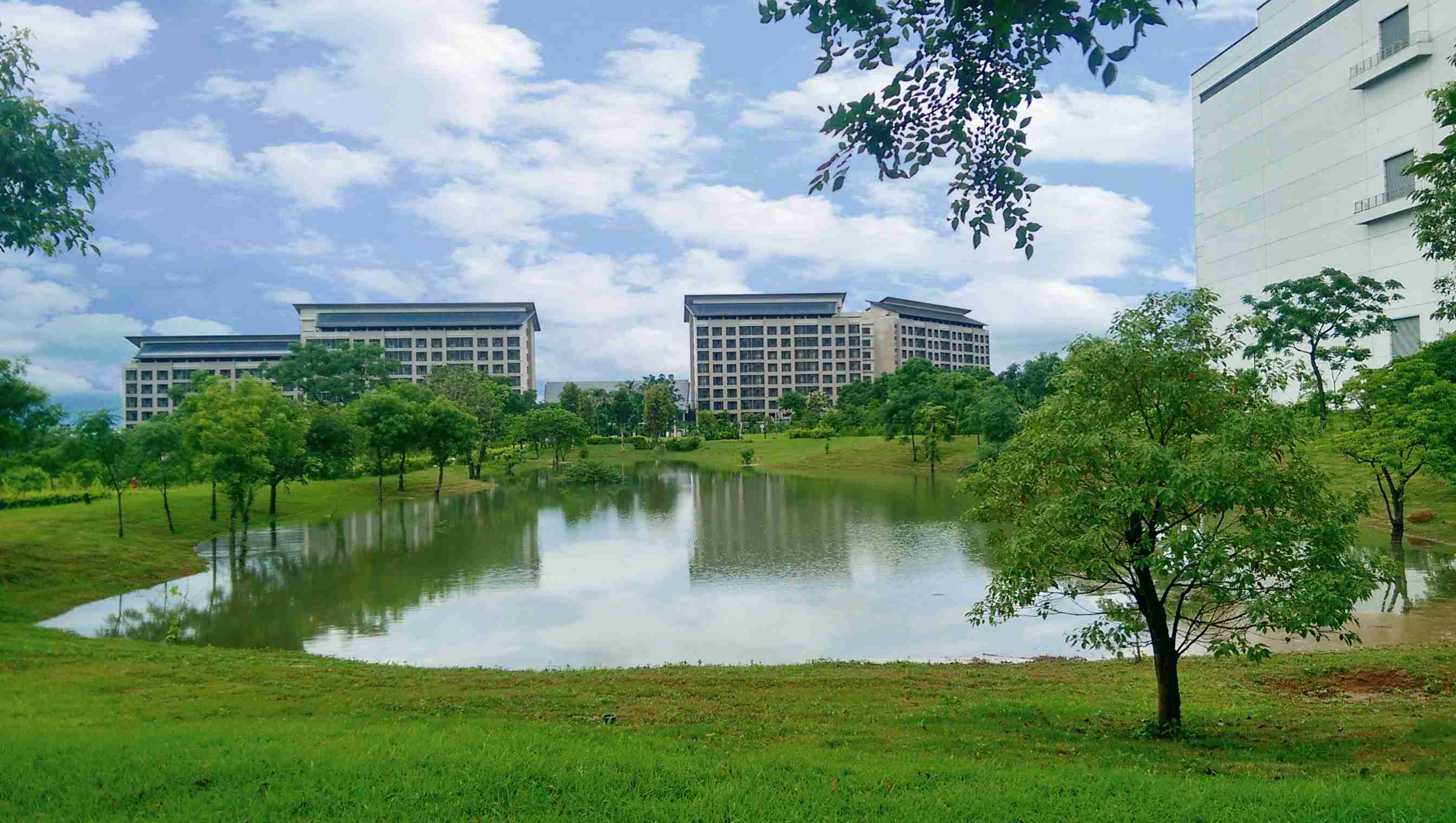 口袋牛店响应国际倡议生物多样性趋势，，，，首次发布TNFD自然相关财务揭露报告书，，擘划及开展口袋牛店生物多样性政策之承诺，，逐步迈向与自然和谐共生